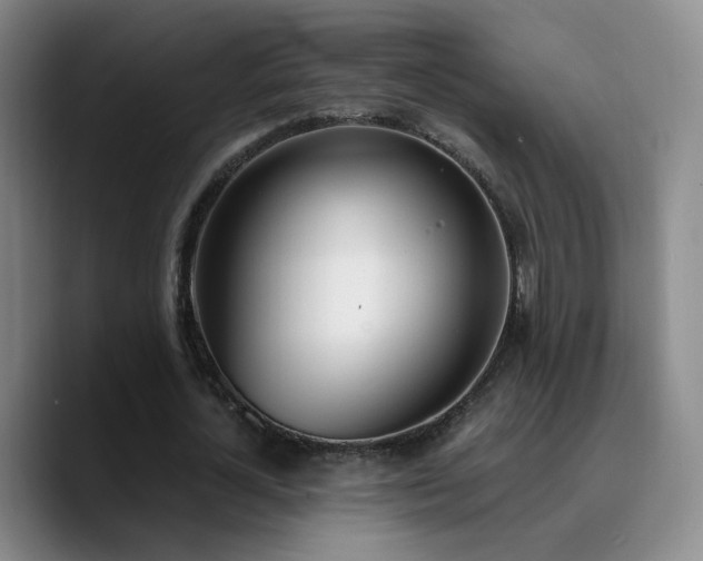 X0000090740724200707201428