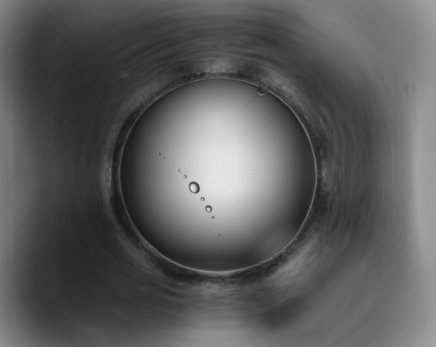 X0000090740725200707201428