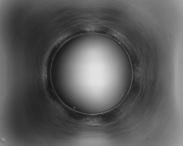X0000090740727200707201428