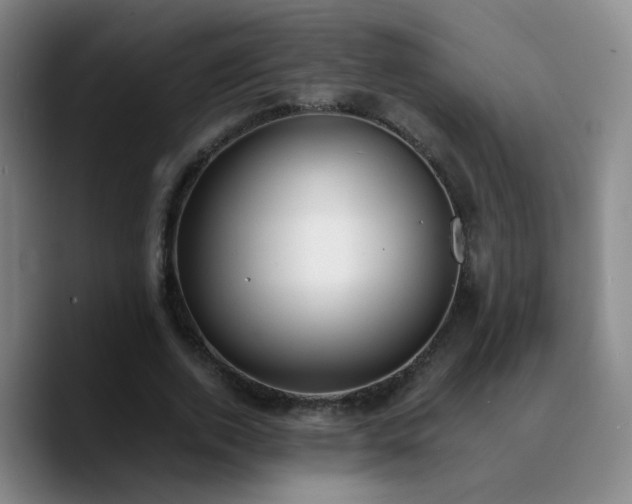 X0000090740728200707201428