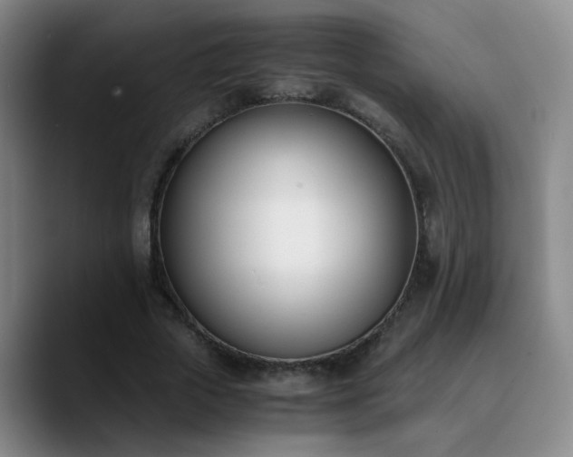 X0000090740729200707201428