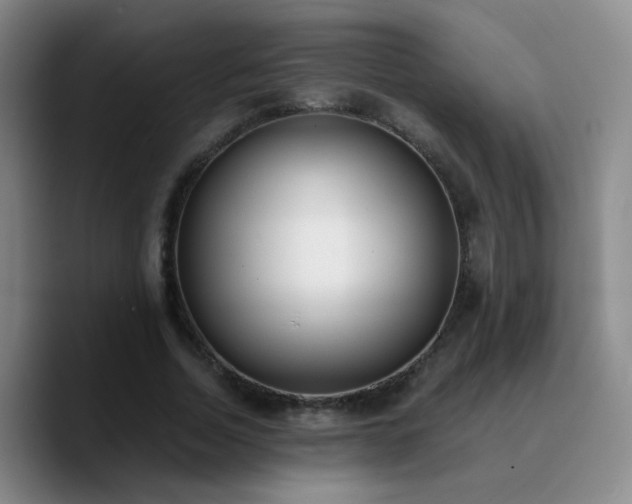 X0000090740730200707201428