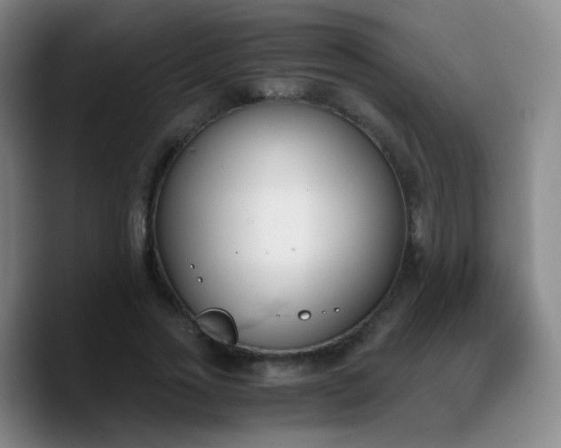 X0000090740733200707201428