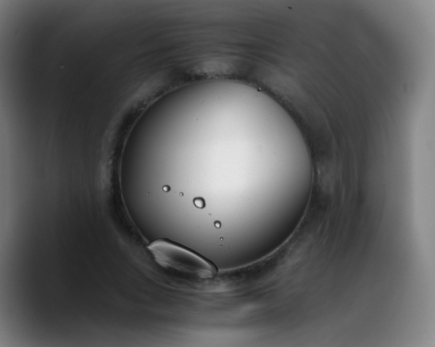 X0000090740735200707201428