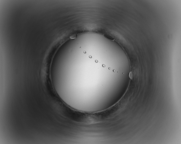 X0000090740736200707201428