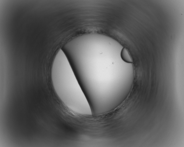 X0000090740737200707201428