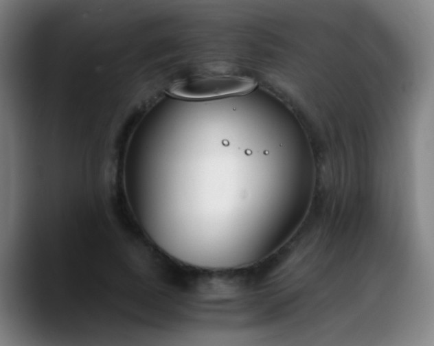 X0000090740739200707201428