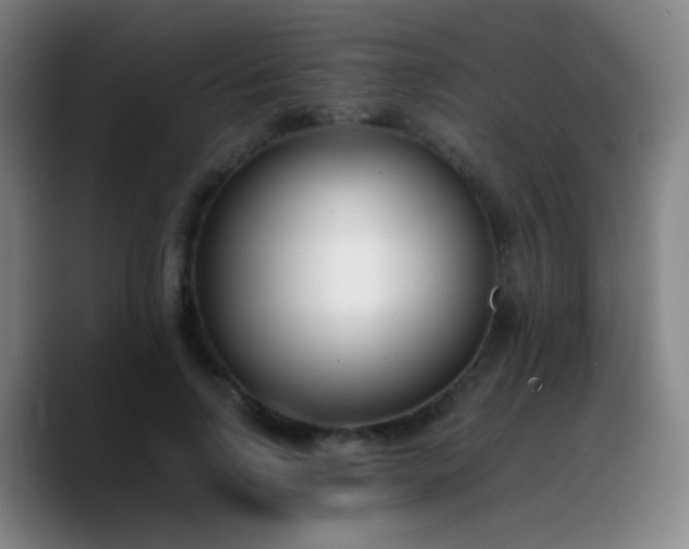 X0000090740742200707201428