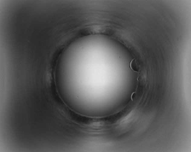 X0000090740746200707201429