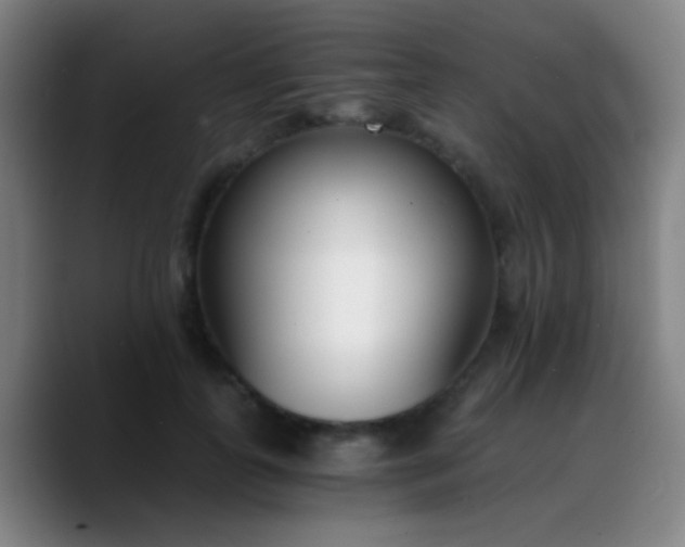 X0000090740747200707201429