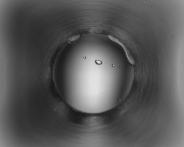 X0000090740748200707201429