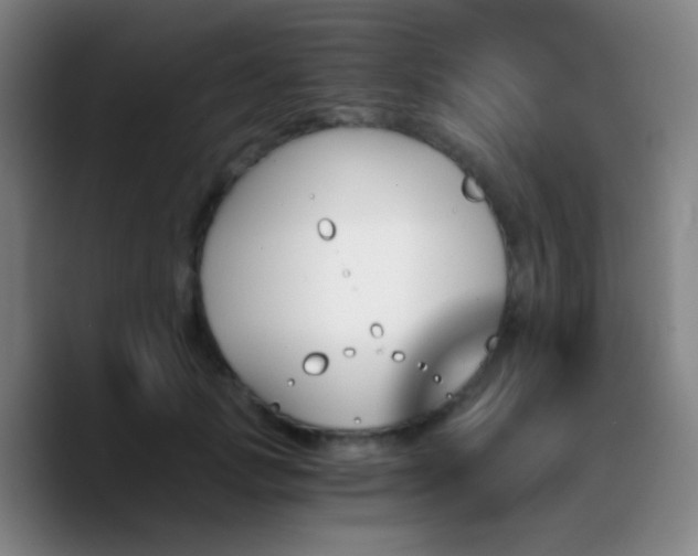 X0000090740749200707201429
