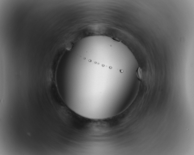 X0000090740752200707201429