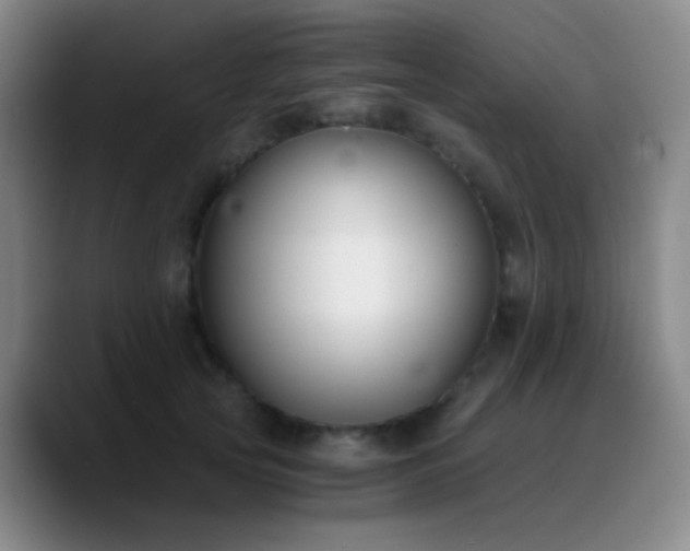 X0000090740753200707201429