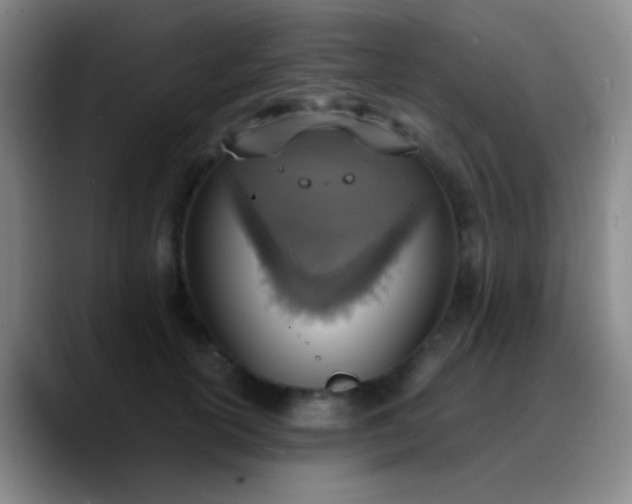 X0000090740754200707201429