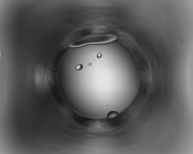 X0000090740755200707201429