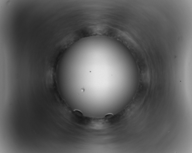 X0000090740757200707201429