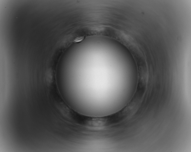 X0000090740758200707201429