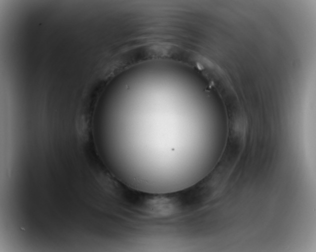 X0000090740759200707201429