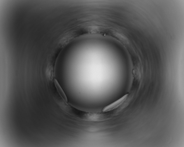 X0000090740766200707201429