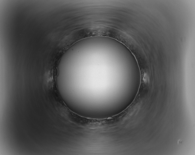 X0000090740771200707201428