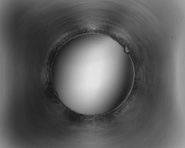 X0000090740776200707201428