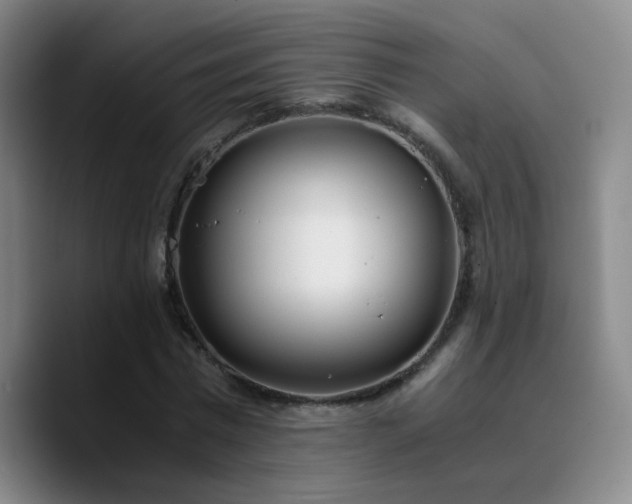 X0000090740777200707201428