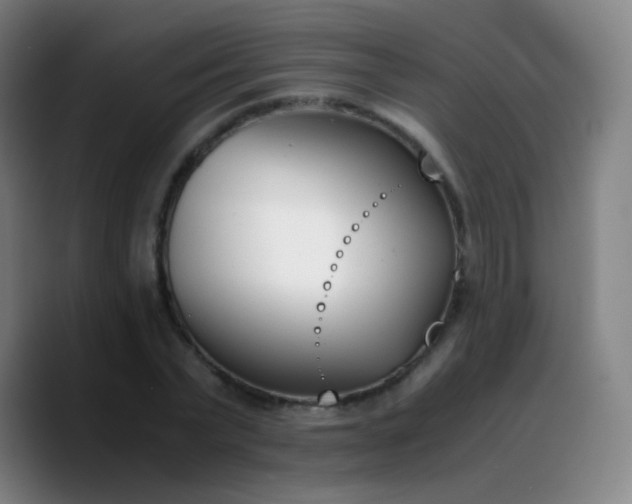 X0000090740783200707201428