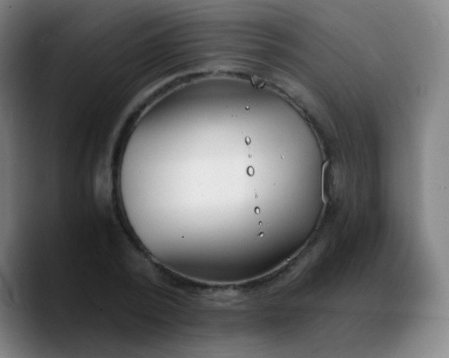 X0000090740784200707201428
