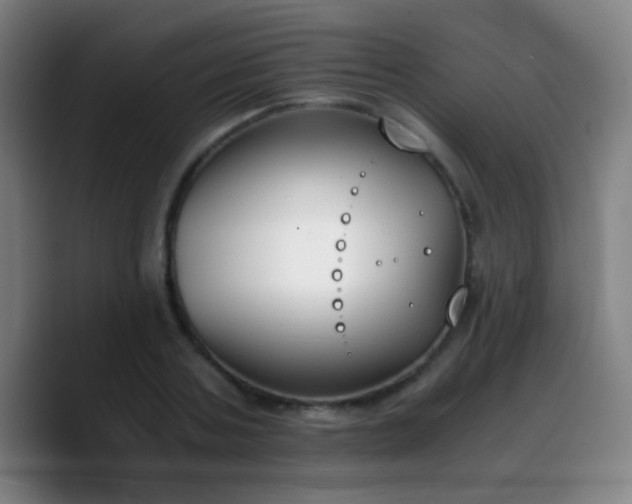 X0000090740787200707201428