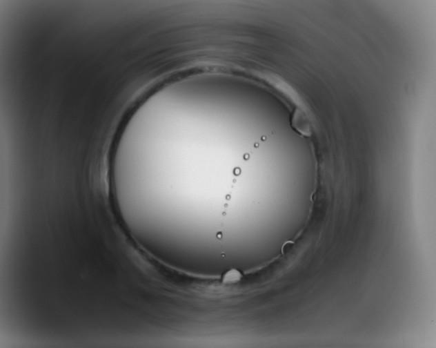 X0000090740791200707201428