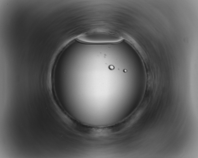 X0000090740795200707201428