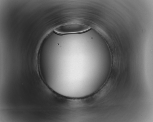 X0000090740800200707201428