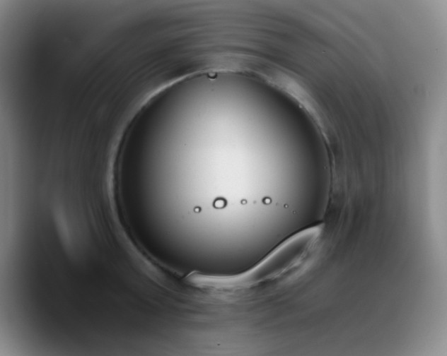 X0000090740803200707201428
