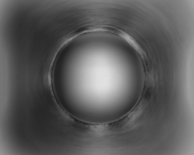 X0000090740813200707201428