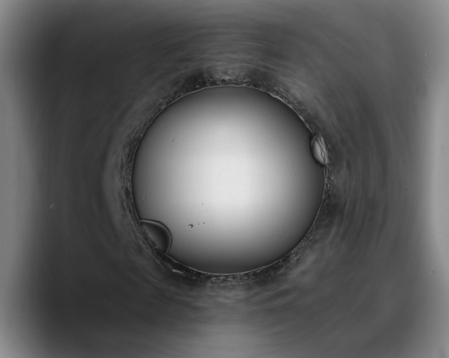 X0000090740817200707201427