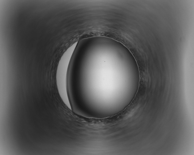 X0000090740818200707201427
