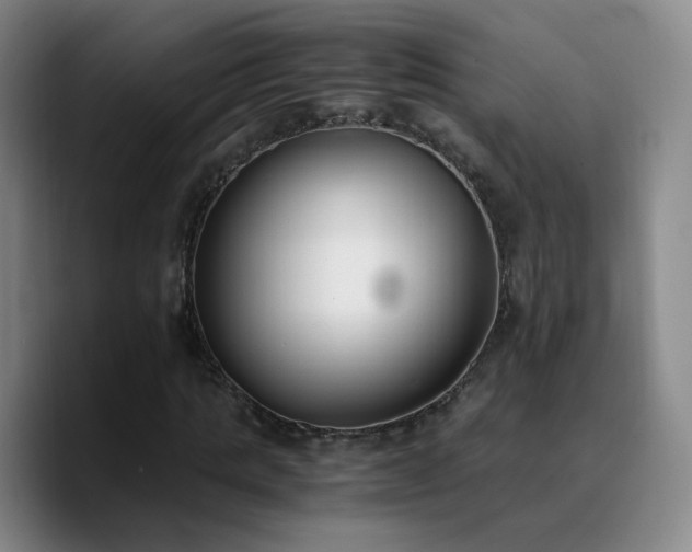 X0000090740821200707201427