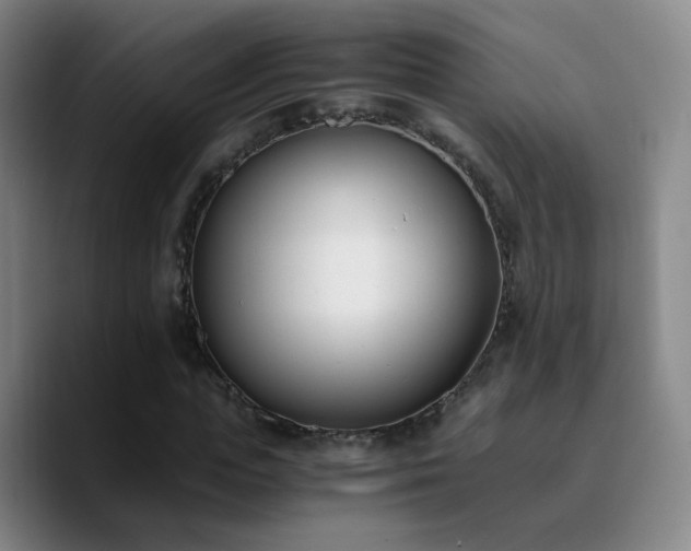 X0000090740823200707201427