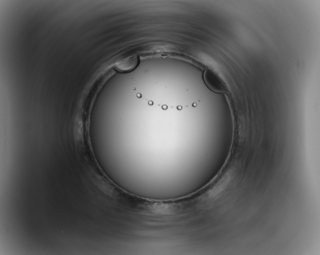 X0000090740827200707201427