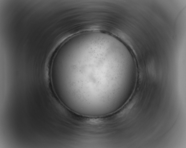 X0000090740835200707201427