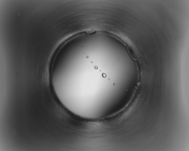 X0000090740838200707201427