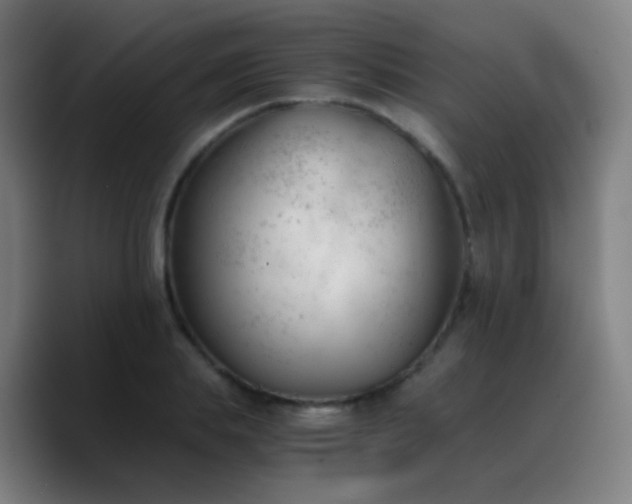 X0000090740839200707201427