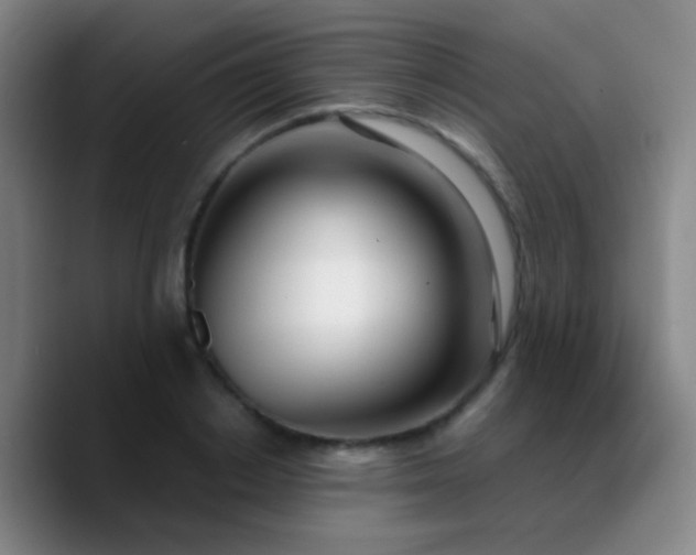 X0000090740842200707201427
