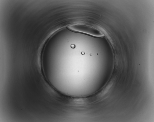 X0000090740843200707201427