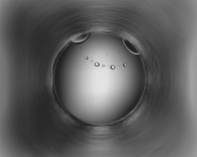 X0000090740844200707201427