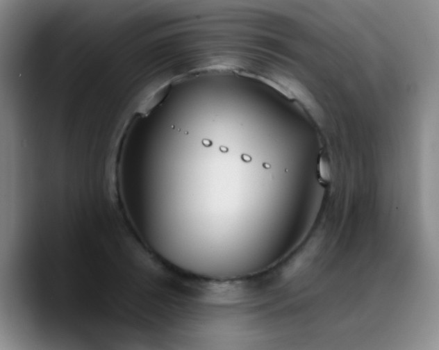 X0000090740850200707201427