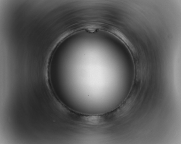 X0000090740853200707201427