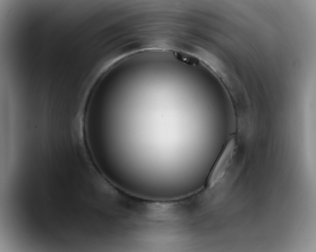 X0000090740854200707201427