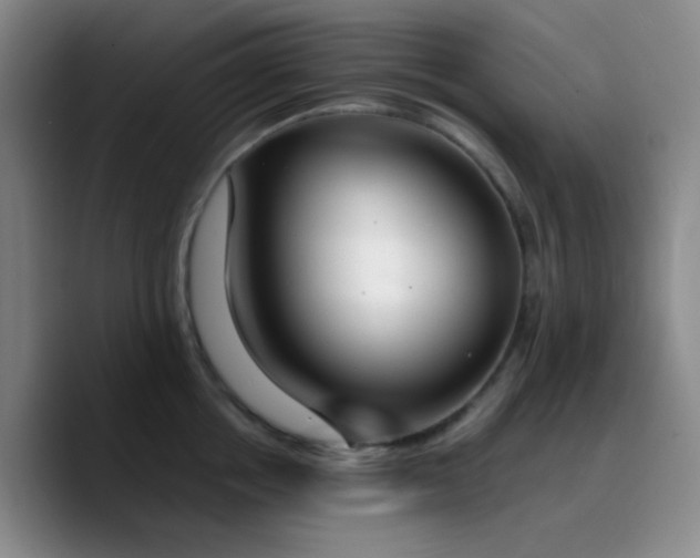 X0000090740858200707201427